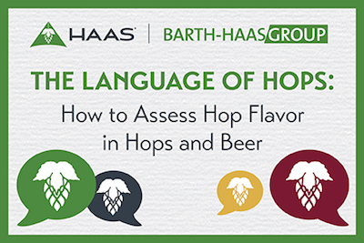 Hops Flavors And Aromas Chart