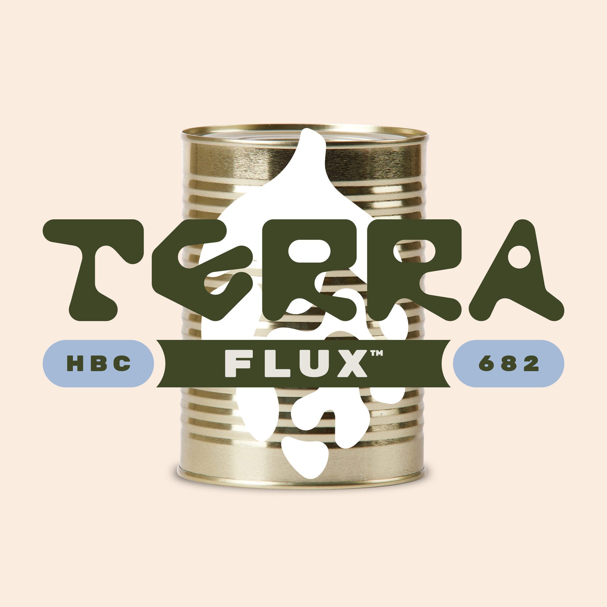 Haas_TerraFlux_SCO2_Detail