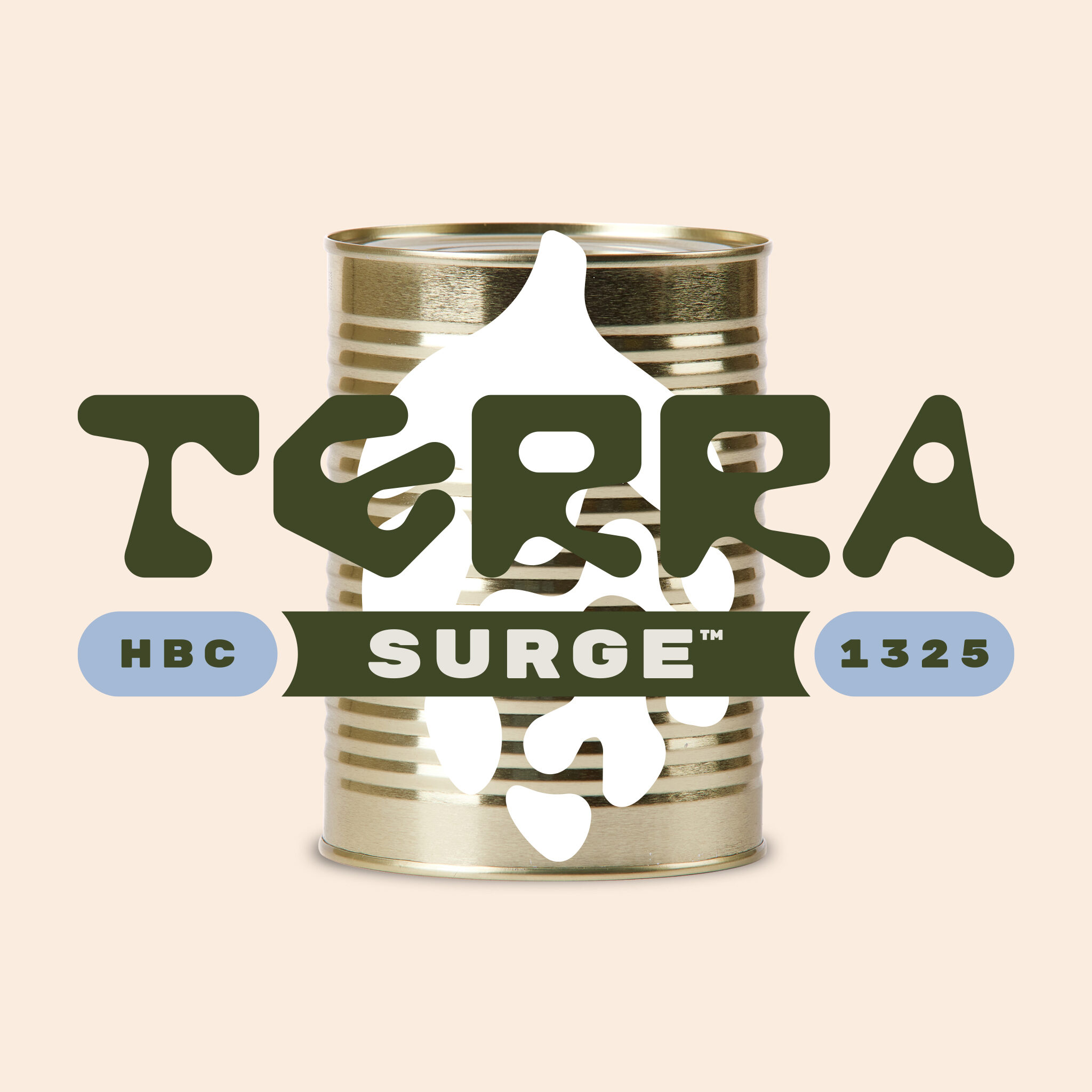 Haas_TerraSurge_SCO2_Detail