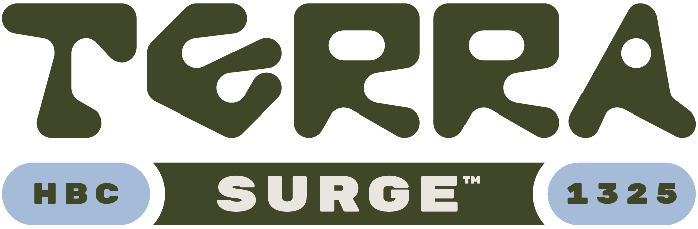 TerraSurge logo