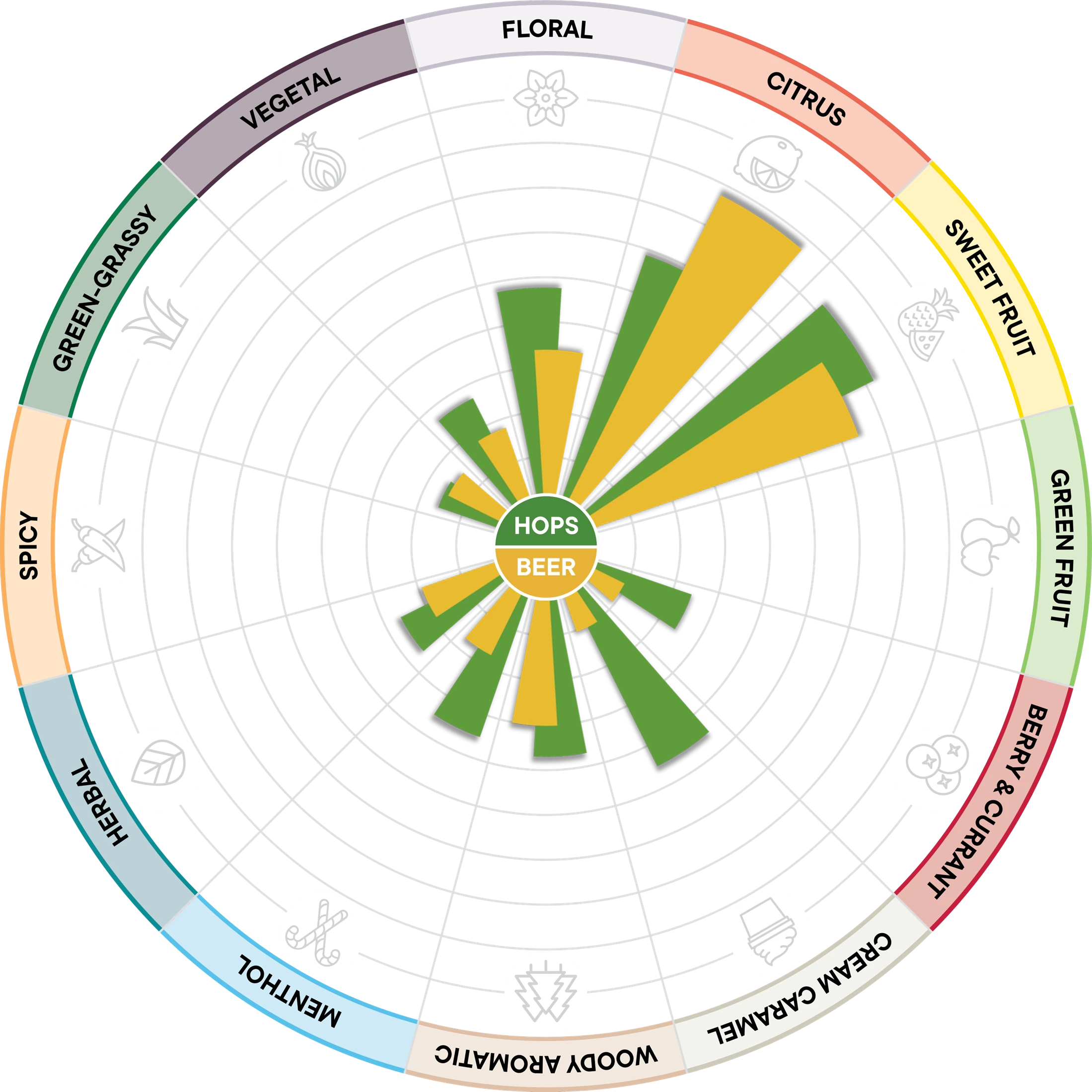 Flavor wheel comparing Citra hops and beer aroma intensity, with citrus and sweet fruit as dominant notes.